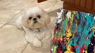 Here’s How To Get Your Dog To Paint!