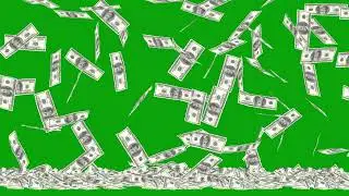 Money Currency US Dollars Falling Free Video Clip on Green Screen No Copyright Footage