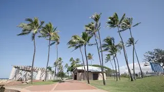 How Coconuts are Helping Humanity Flourish
