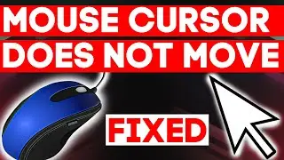 HOW TO FIX MOUSE CURSOR NOT MOVING BUT THE MOUSE IS WORKING | Mouse Lag and Stutters