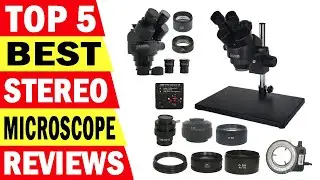 Top 5 Best Trinocular Microscope Review 2023 | Best Trinocular Stereo Microscope