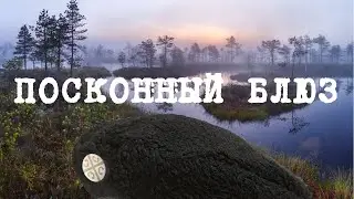 Посконный блюз