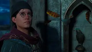 Потерял голову ➤ Hogwarts Legacy