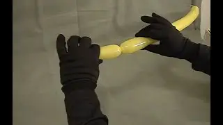 Learn how to pinch and twist a balloon for balloon twisting