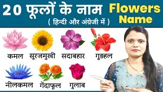 20 फूलों के नाम हिन्दी और इंग्लिश में | Flowers Name in Hindi and English