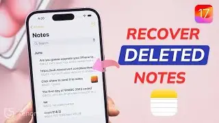 Top 4 Ways to Recover Deleted Notes on iPhone With or Without Backup  (iOS 18/17)