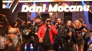 Dani Mocanu - Cariceps ( Live Concert The One )