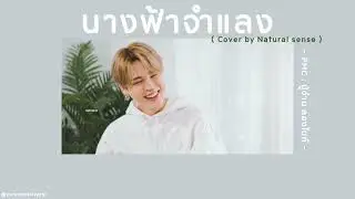 🦋 [เนื้อเพลง] นางฟ้าจำแลง - PMC : ปู่จ๋าน ลองไมค์ (ver.cover by Natural sense) 🍀