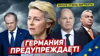 Германия предупреждает. Европе нужны мигранты. Новости украинец в Польше