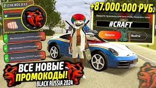 ВНИМАНИЕ!⚡️НОВЫЕ ПРОМОКОДЫ НА ДЕНЬГИ BLACK RUSSIA. СЕКРЕТНЫЕ ПРОМОКОДЫ НА МАШИНЫ БЛЕК РАША.