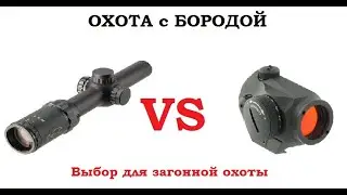 ОХОТА с БОРОДОЙ. Коллиматорный прицел или оптический прицел на загонной охоте?