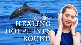 nature sounds | healing music | dolphines sound | whale sounds |higher vibration | frequency 2022