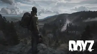 Мотивация выжить.  Dayz Stream