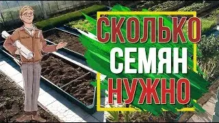 Сколько нужно семян на посадку ✔️ Как Расчищать Количество Семян ✔️ Советы Садоводам от Garden zoo