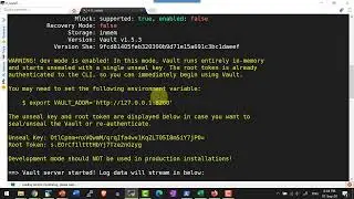 HashiCorp Vault Linux Installation - Video 5