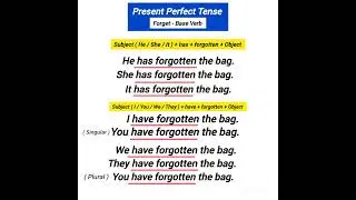 forget present perfect tense example