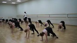 Совушки часть1