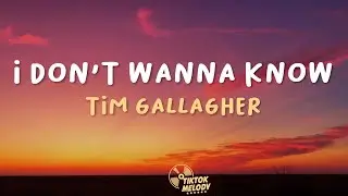 Tim Gallagher - I Don't Wanna Know (Lyrics)