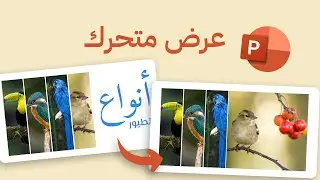 تحريك الصور بسهولة في البوربوينت لعرض احترافي بدقائق