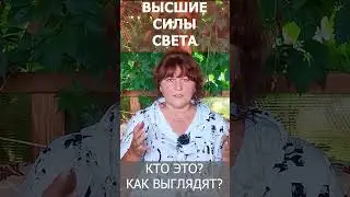 Высшие Силы Света кто они? Как выглядят? Ирина Белова #shorts  #душа #любовь #магия #психология