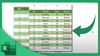 How to Highlight Every Other Row in Excel | Microsoft Excel Tutorial