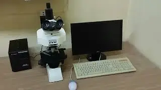 Когерентної біофотоніки та медичних діагностичних систем