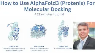 How to Perform Molecular Docking with AlphaFold3: Protenix