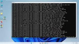 10  Installing Kali on Windows WSL