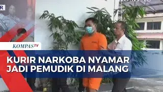 Nyamar Jadi Pemudik, Polisi Tangkap Kurir Narkoba Bawa Ganja 42 Kg