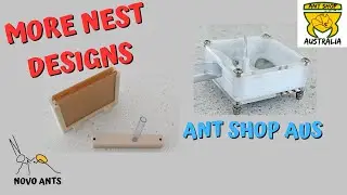 More ant nests at Ant Shop Aus - Ant Keeping