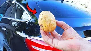 Having 1 Potato in your Car  Could Save Your Life and Nobody Told You