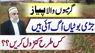 How to control weeds from summer sown onion crop || Crop Reformer