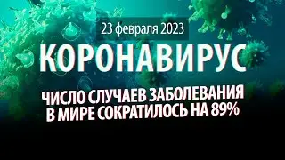 Мировой уровень заболевания упал на 89%. Статистика коронавируса в России на сегодня 23 февраля 2023