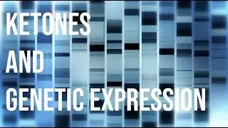 Keto 101 - Ketones and Genetic Expression