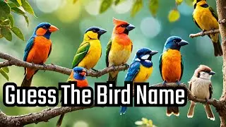 Guessing Game: 50 Bird Names Challenge