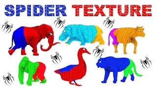 How To Design SPIDER Texture For Animals - Create SPIDER-MAN Texture Using Photoshop & iClone