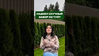 ДАРИМ ГАЙД ПО УХОДУ ЗА ТУЯМИ НА 10 ЛИСТАХ 👉ссылка в описании канала 