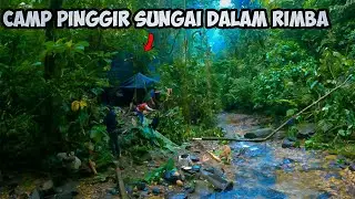 Petualangan Menelusuri Sungai Menjelajah Hutan Rimba Mencari Madu Sialang | CAMP FISHING ADVENTURE