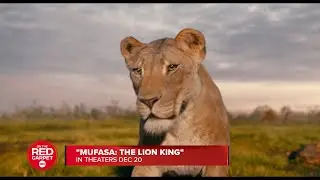 Mufasa: The Lion King stars Aaron Pierre, Kelvin Harrison Jr, Seth Rogen & Billy Eichner interview