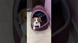 Kya aapko bi Waterpark chalna h ? 😂 