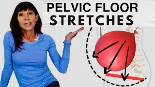 Pelvic Floor Stretches - Relieve Pelvic Pain & Pelvic Muscle Spasm - Physiotherapy for Women & Men