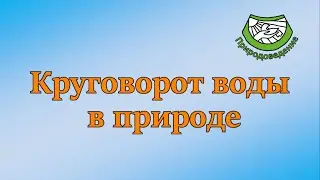 Круговорот воды в природе. Веселый урок