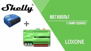 Shelly wifi relay and Loxone