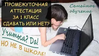 ✅ Семейное обучение: Промежуточная аттестация за 1-й класс - это право или обязанность. Сдавать ПА?