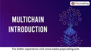 Multichain Introduction | Blockchain | In Hindi