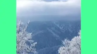 Хрустальные  розы (Астор Светлана)