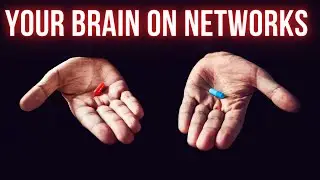 Take the Red Pill: Uncover Network Mental Models for Life and Business Success.