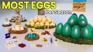 Most Egg Lays by Animals | 3D Animal Egg Comparison