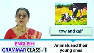 Animals and their young ones | ENGLISH GRAMMAR CLASS - 1 | Learn Grammar for beginners Part-34