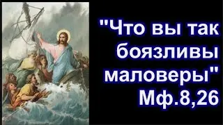 "Дана Мне всякая власть на небе и на земле /Что же вы так боязливы маловеры"